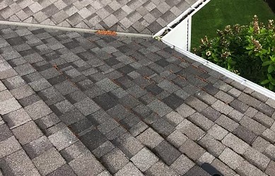 Professional Auburn roof installers in WA near 98092