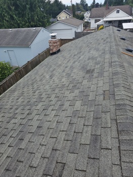 Dry Shingles